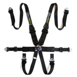 Racetech Pro 6-point FHR Lightweight Harness